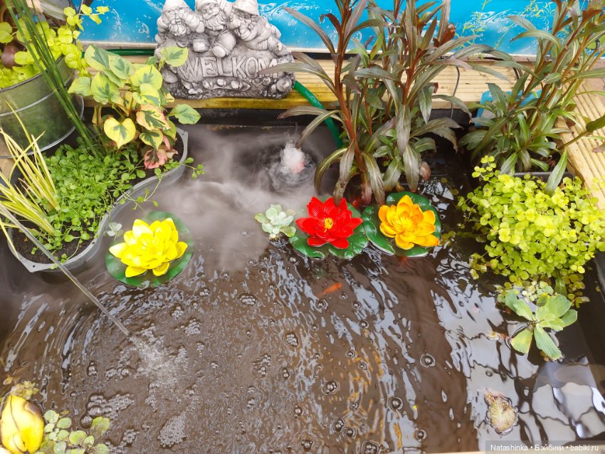 Fashion Dolls 376 — Туризм и путешествия: фотоотчеты из поездок