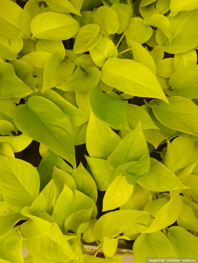 Fashion Dolls 376 — Туризм и путешествия: фотоотчеты из поездок