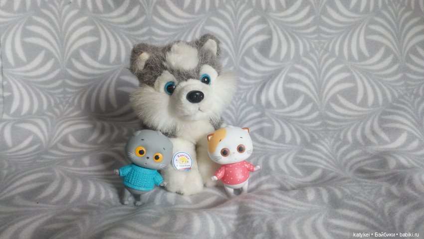 Котоблог. Какие хаски самые хасочные