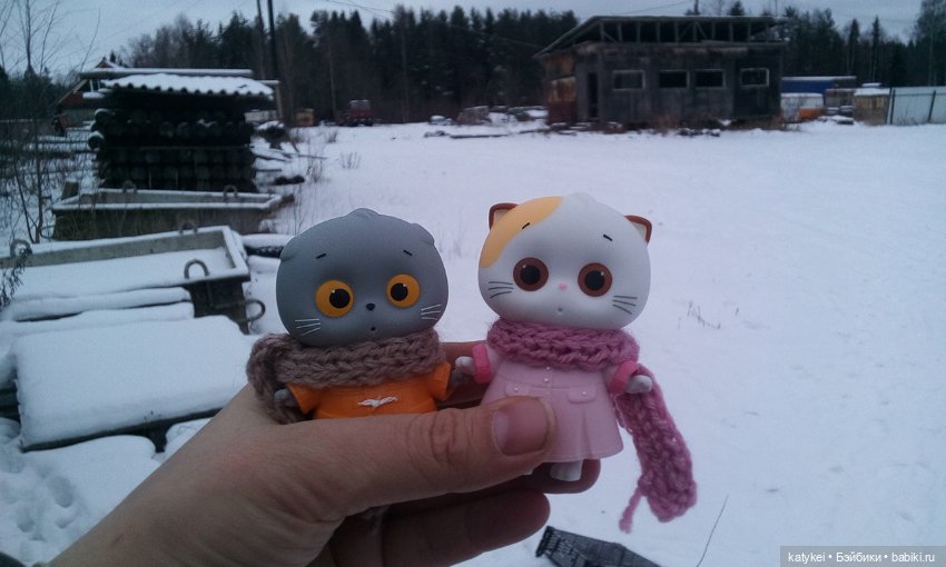 Котоблог. Какие хаски самые хасочные (фото 8)