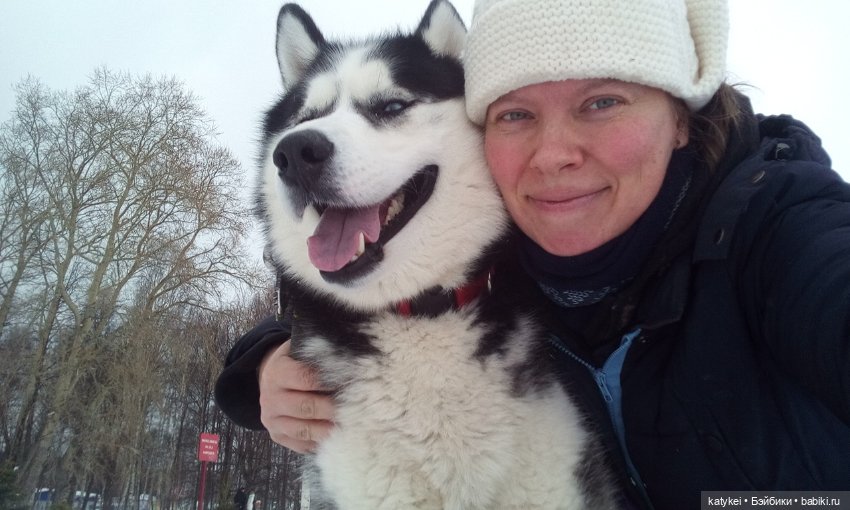 Котоблог. Какие хаски самые хасочные