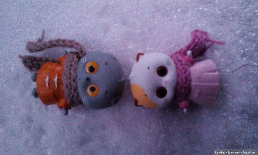 Котоблог. Какие хаски самые хасочные