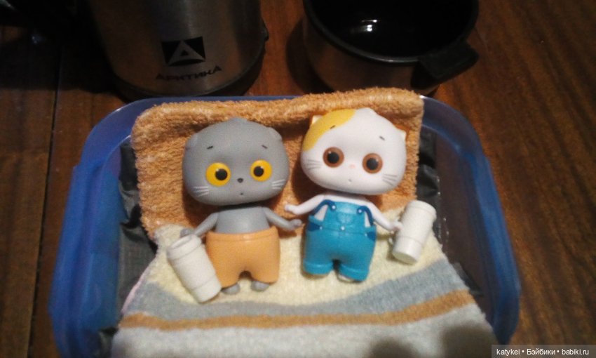 Котоблог. Какие хаски самые хасочные