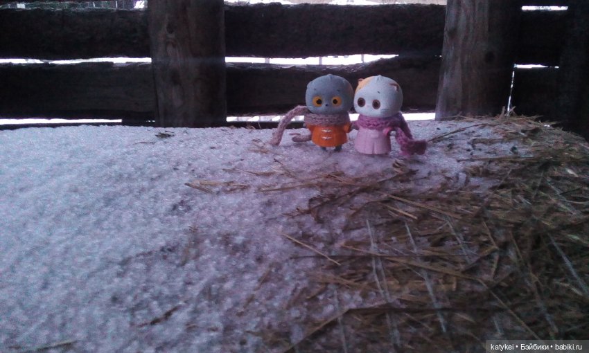 Котоблог. Какие хаски самые хасочные