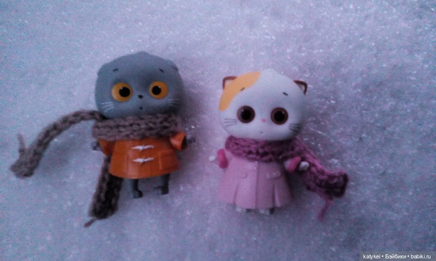 Котоблог. Какие хаски самые хасочные