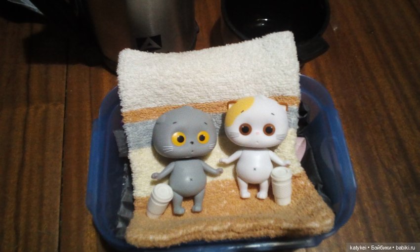 Котоблог. Какие хаски самые хасочные