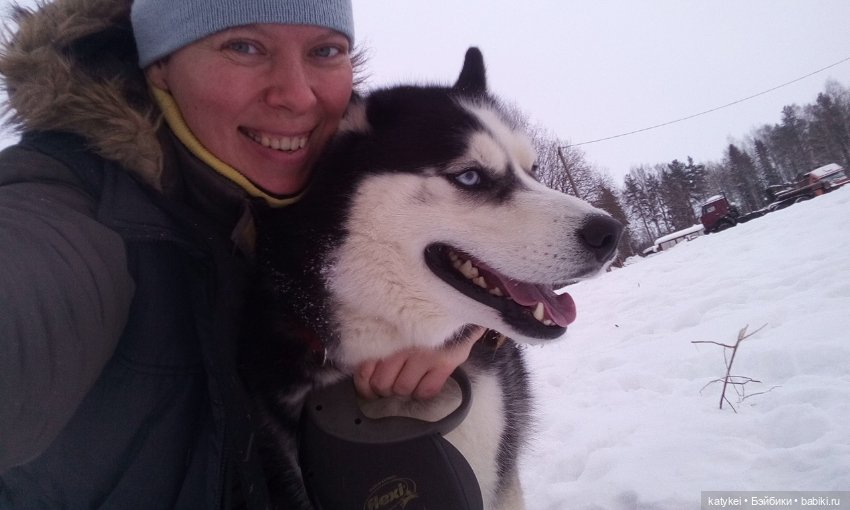 Котоблог. Какие хаски самые хасочные