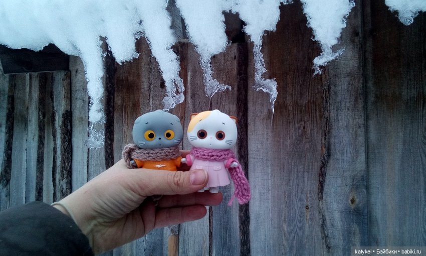 Котоблог. Какие хаски самые хасочные (фото 9)