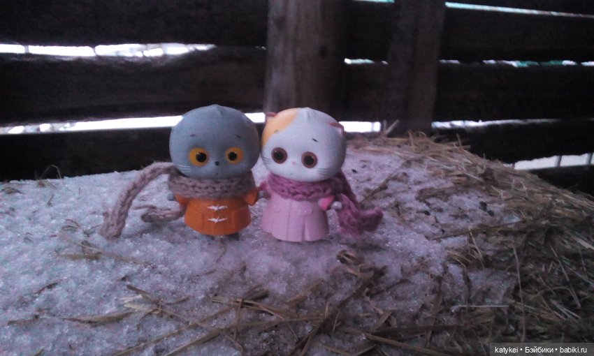 Котоблог. Какие хаски самые хасочные