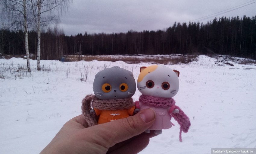 Котоблог. Какие хаски самые хасочные