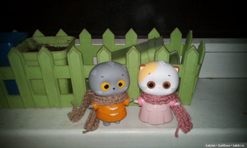 Котоблог. Какие хаски самые хасочные