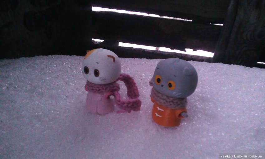 Котоблог. Какие хаски самые хасочные