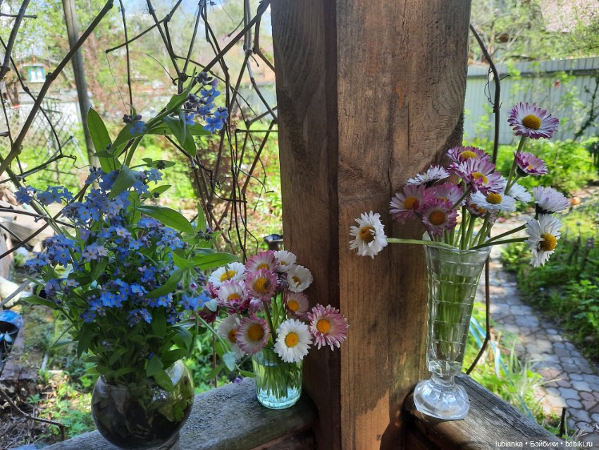 Сегодня Беляночка и Розочка😍