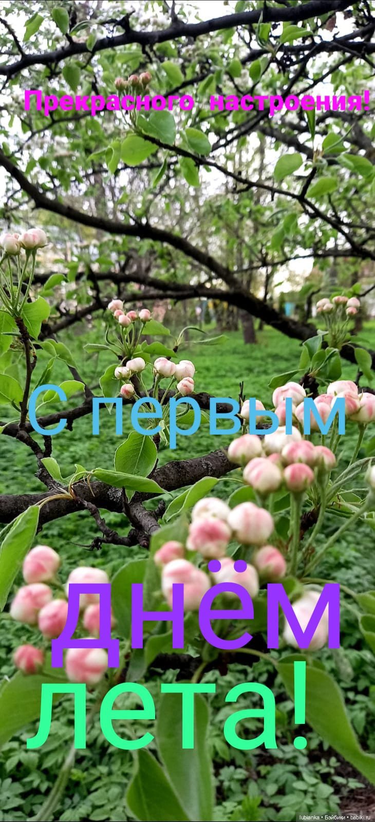 Сегодня Беляночка и Розочка😍