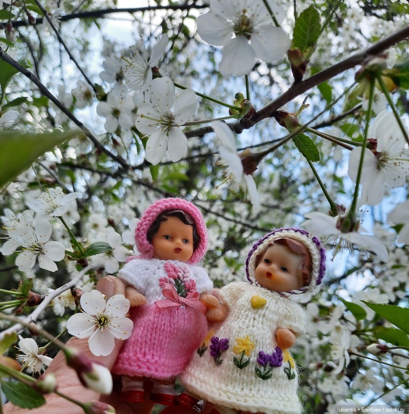 Сегодня Беляночка и Розочка😍