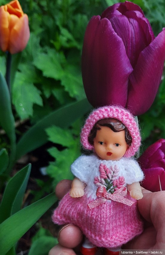 Сегодня Беляночка и Розочка😍