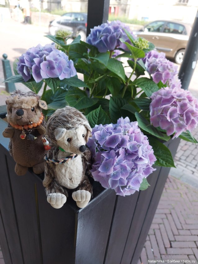 Fashion Dolls 377 — Туризм и путешествия: фотоотчеты из поездок (фото 6)