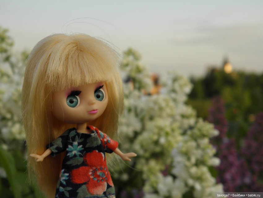 С Первым Днём Лета — Petite Blythe и LPS (Hasbro): Мини Блайз (фото 4)