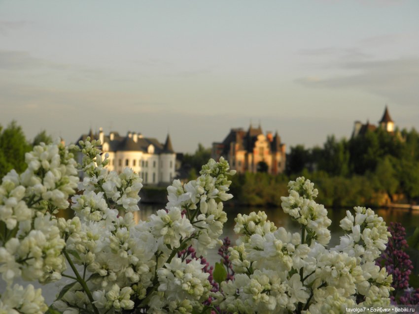 С Первым Днём Лета — Petite Blythe и LPS (Hasbro): Мини Блайз (фото 5)