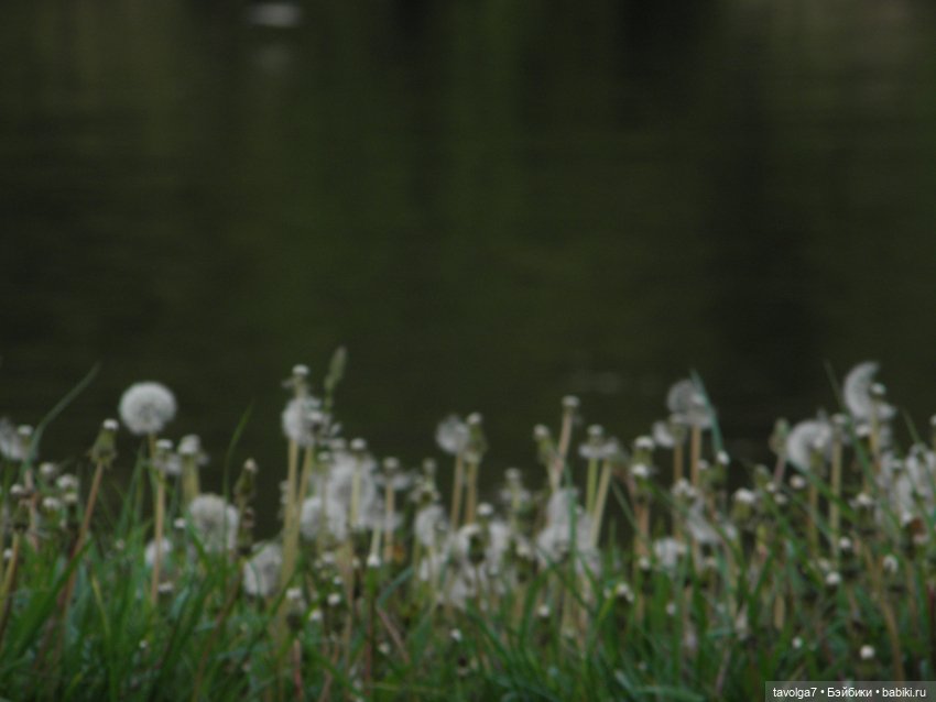 С Первым Днём Лета — Petite Blythe и LPS (Hasbro): Мини Блайз (фото 10)