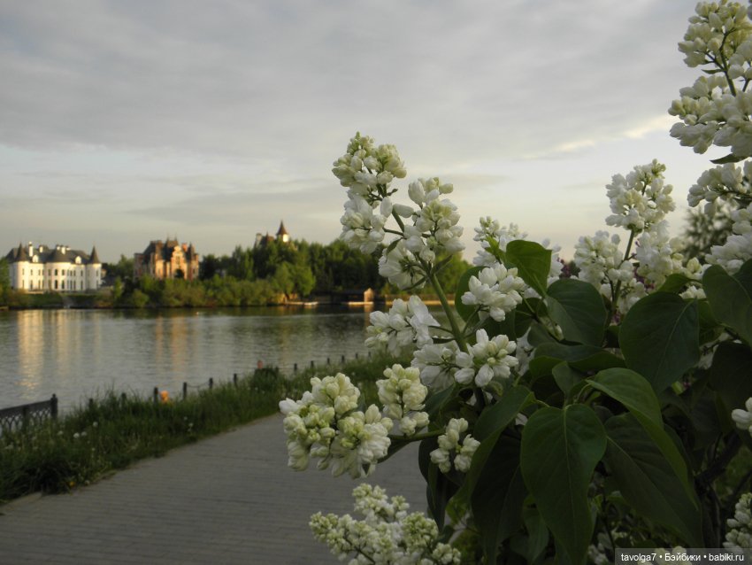 С Первым Днём Лета — Petite Blythe и LPS (Hasbro): Мини Блайз (фото 6)