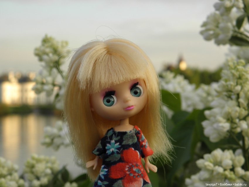 С Первым Днём Лета — Petite Blythe и LPS (Hasbro): Мини Блайз (фото 3)
