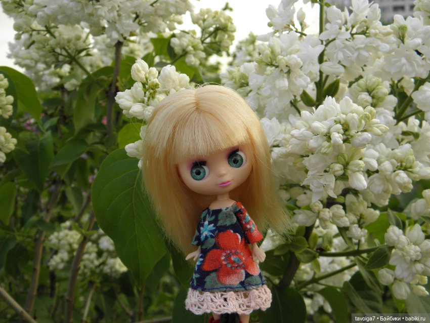 С Первым Днём Лета — Petite Blythe и LPS (Hasbro): Мини Блайз (фото 2)