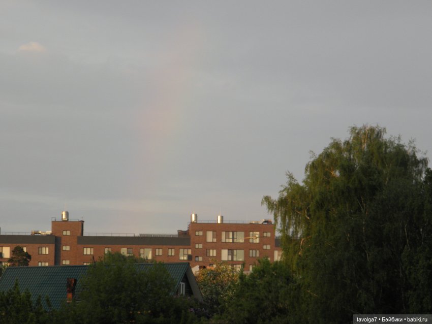 С Первым Днём Лета — Petite Blythe и LPS (Hasbro): Мини Блайз