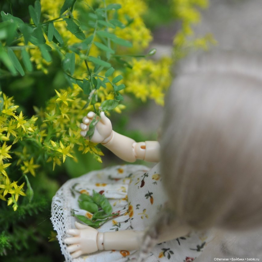 Малышка Бин собирает первый урожай (фото 5)