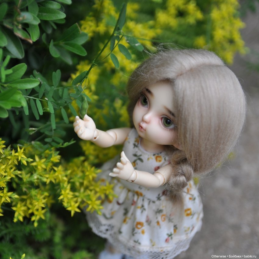 Малышка Бин собирает первый урожай