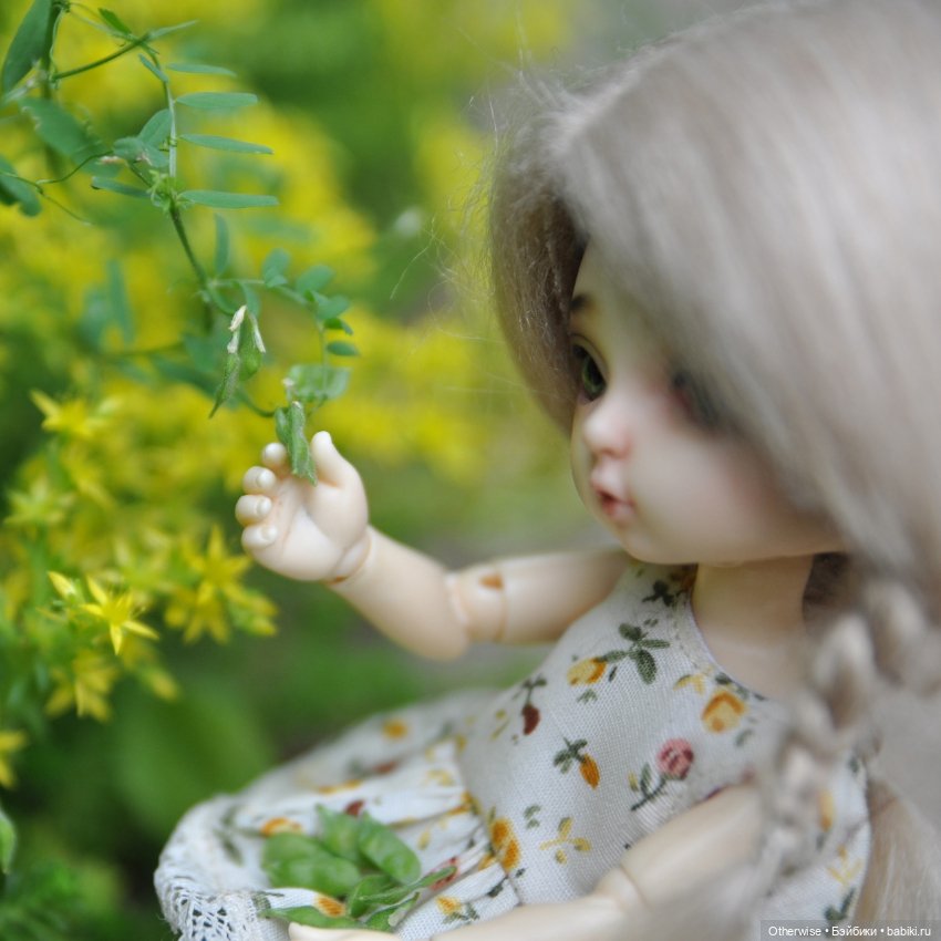 Малышка Бин собирает первый урожай (фото 4)