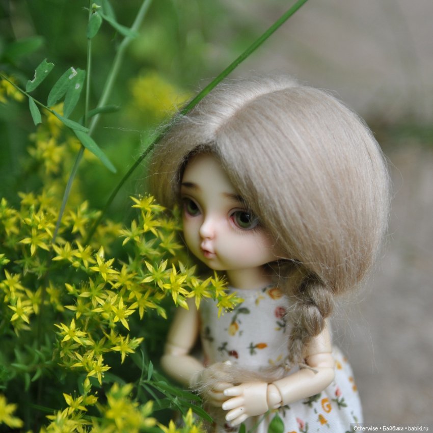 Малышка Бин собирает первый урожай (фото 7)