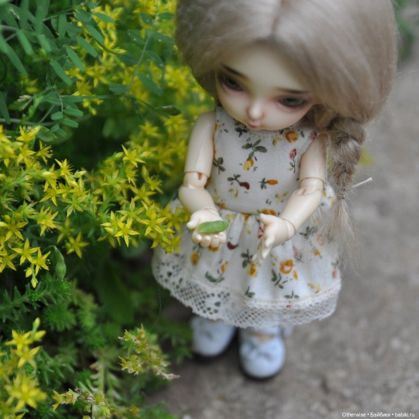 Малышка Бин собирает первый урожай (фото 3)