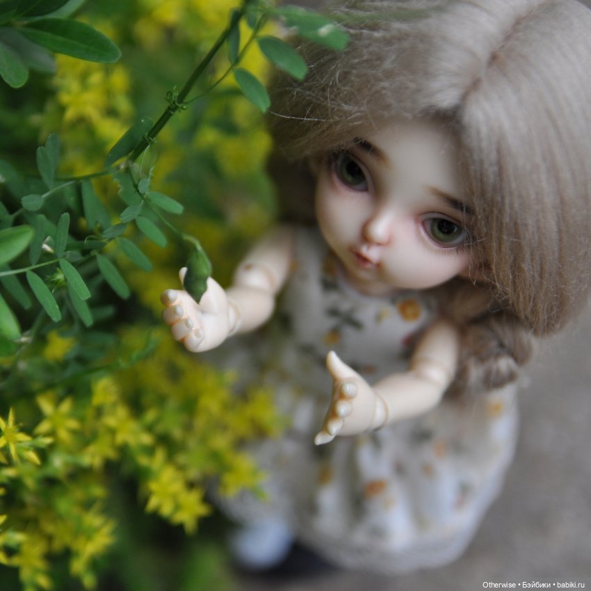 Малышка Бин собирает первый урожай (фото 2)