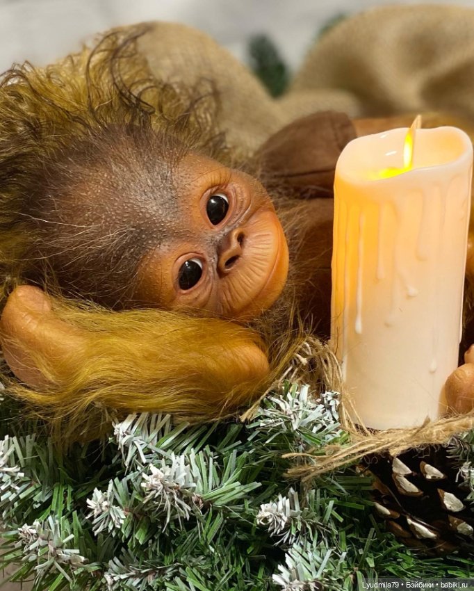 Мои любимые животные, реборн обезьянки