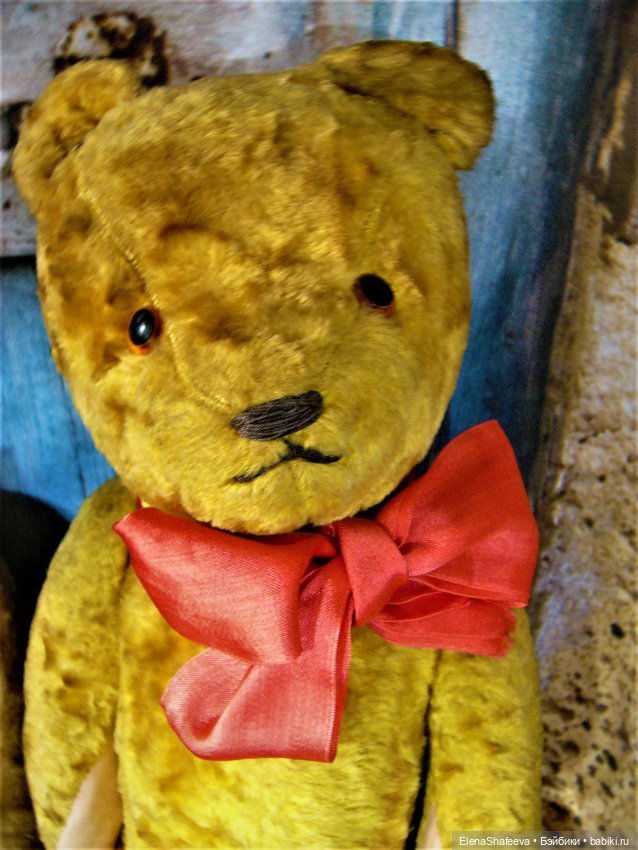 Моя коллекция антикварных медведей (фото 6)