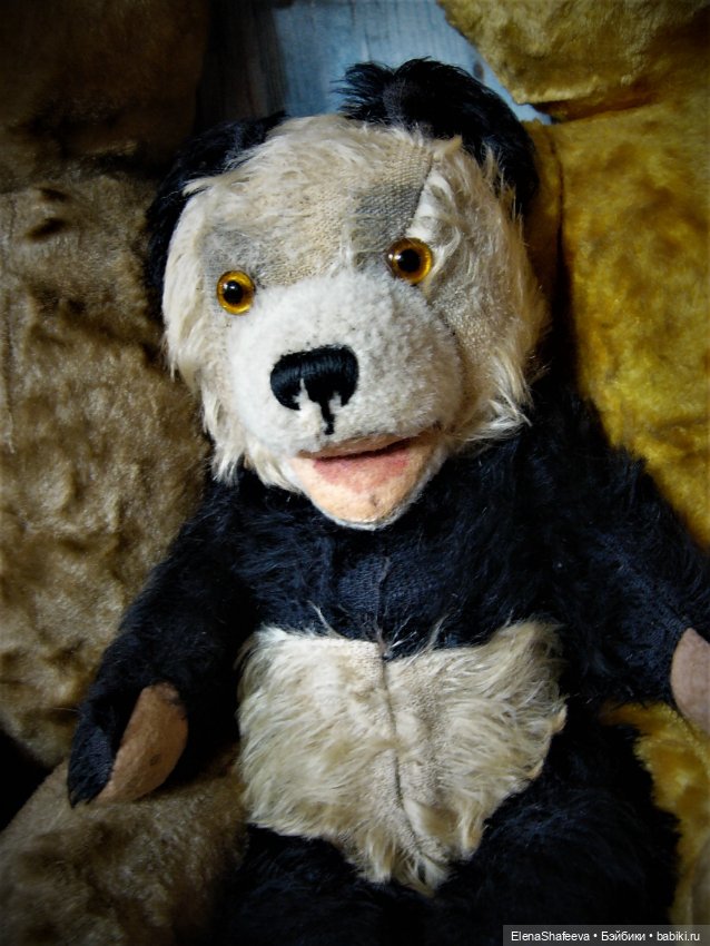 Моя коллекция антикварных медведей (фото 5)