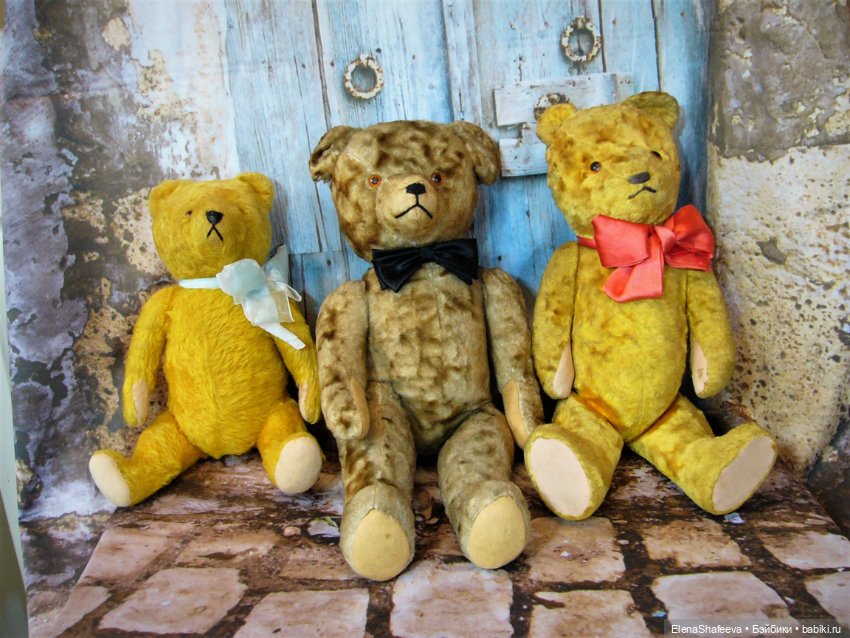 Моя коллекция антикварных медведей