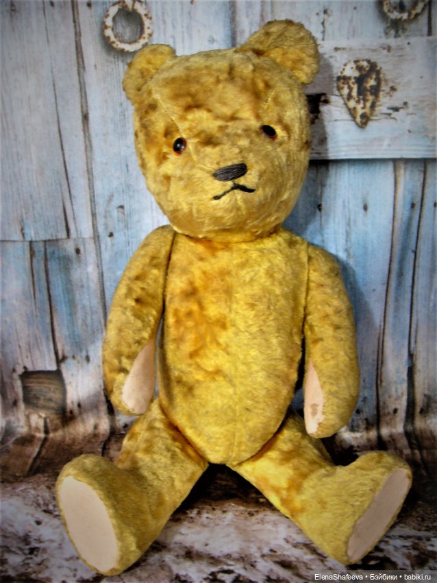 Моя коллекция антикварных медведей