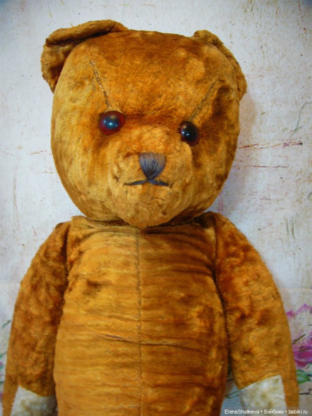 Моя коллекция антикварных медведей