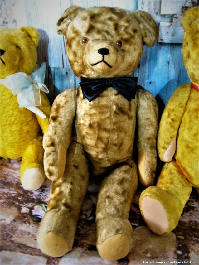 Моя коллекция антикварных медведей