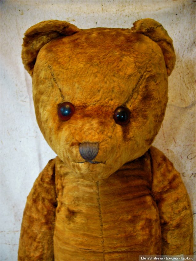 Моя коллекция антикварных медведей
