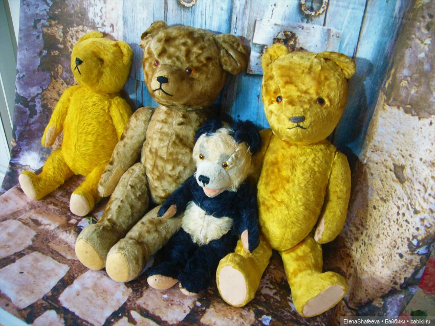 Моя коллекция антикварных медведей