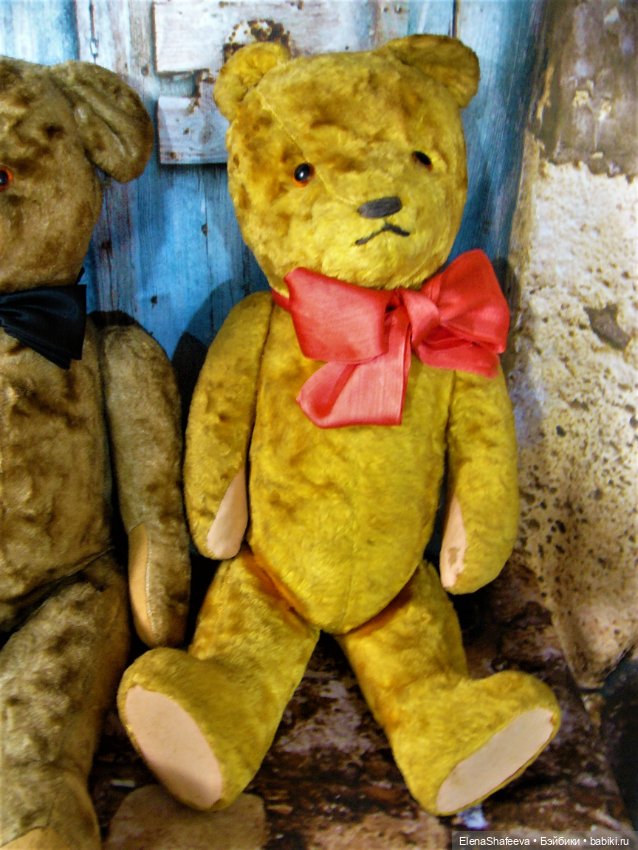 Моя коллекция антикварных медведей