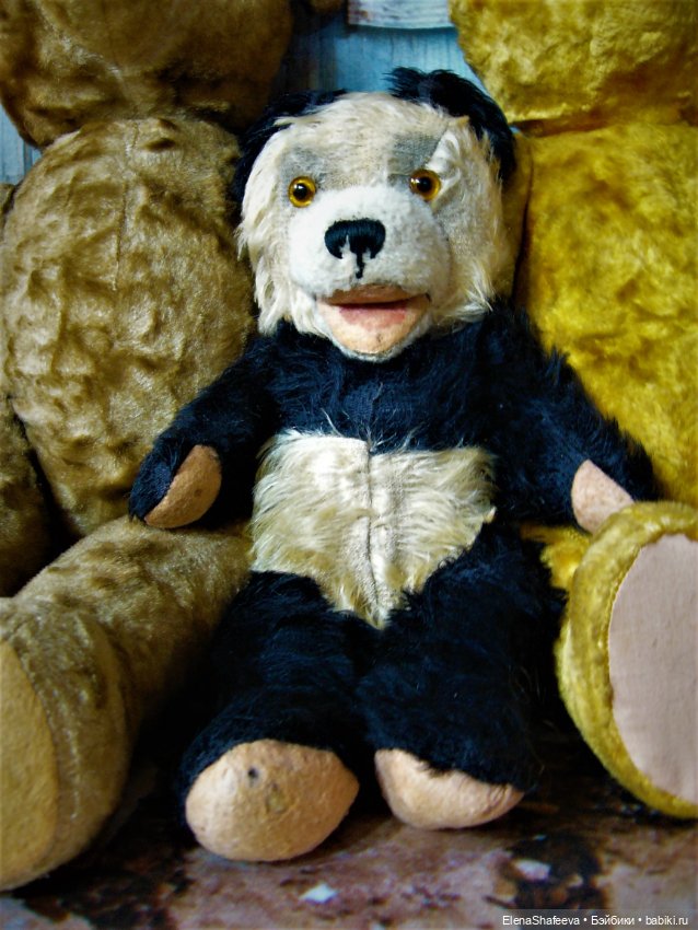 Моя коллекция антикварных медведей (фото 10)