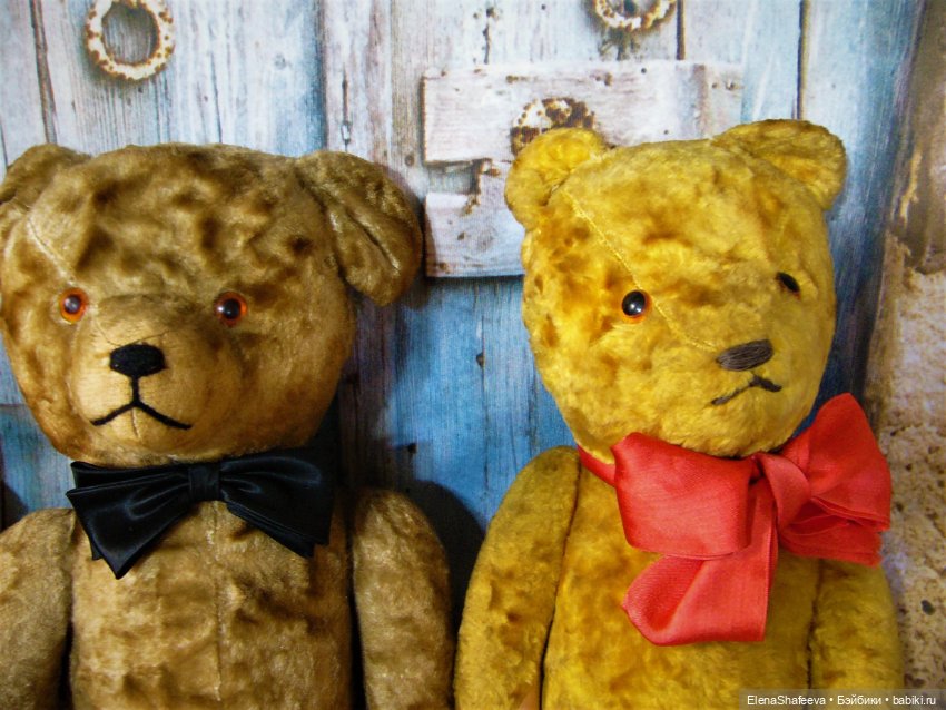 Моя коллекция антикварных медведей