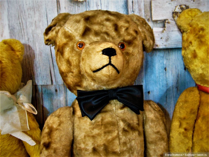 Моя коллекция антикварных медведей (фото 3)