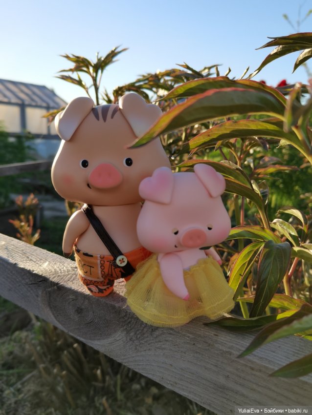 Сонная свинка — Разные шарнирные куклы (не БЖД): редкие (фото 2)