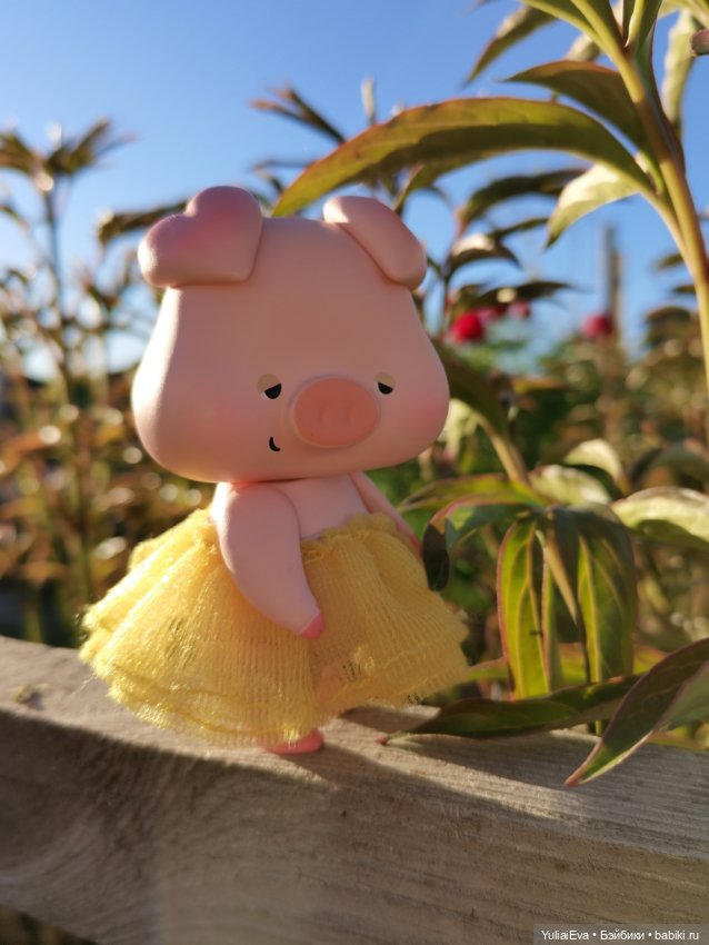 Сонная свинка — Разные шарнирные куклы (не БЖД): редкие