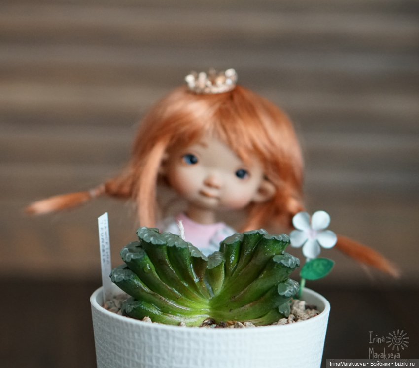Вот так растут короны — Куклы Irrealdoll (Ирреалдолл): BJD (БЖД) (фото 3)